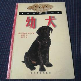 幼犬（宠物小百科）