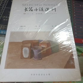 长篇小说选刊