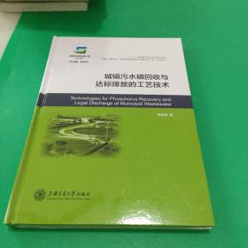 城镇污水磷回收与达标排放的工艺技术，未拆封