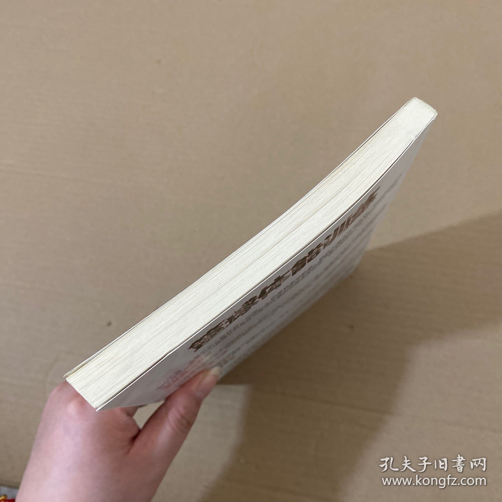 篮球体能训练 【无光盘】