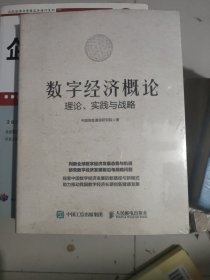 数字经济概论：理论、实践与战略