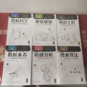 人工智能超入门丛书:数据科学，视觉感知，知识工程，搜索算法，数据素养，情感分析。六册合售。