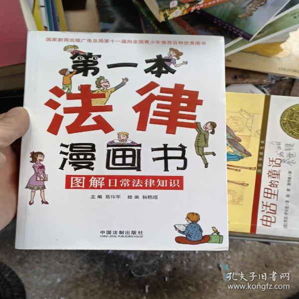 第一本法律漫画书:图解日常法律知识（双色第四版）