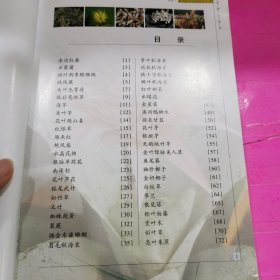 观叶植物养护与欣赏