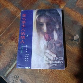 查泰莱夫人的情人 全译本