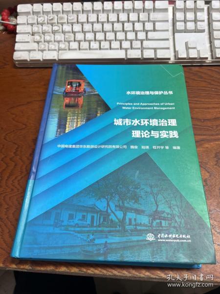 城市水环境治理理论与实践（水环境治理与保护丛书）