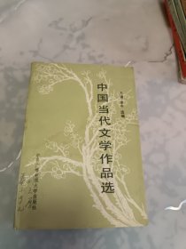 中国当代文学作品选