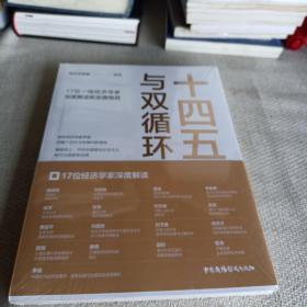 十四五与双循环:17位一线经济学家深度解读新发展格局（国内大循环国内国际双循环）