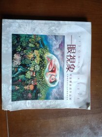 一眼视象（阿嘉娜油画作品展）