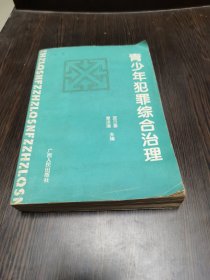 青少年犯罪綜合治理