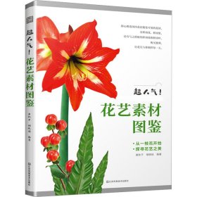 超人气 花艺素材图鉴 新手也能轻松成为花艺达人 零基础插花入门教程书籍花艺摆件搭配挑选