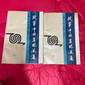 改革中的吉林流通 上下册