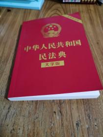 中华人民共和国民法典（大字版32开大字条旨红皮烫金）2020年6月新版