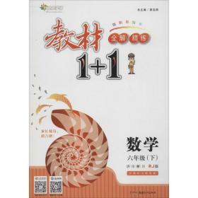 教材1+1同步讲习：数学（六年级下 RJ版 创新彩绘本）