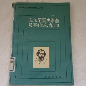 外国文学知识丛书《车尔尼雪夫斯基及其（怎么吧？）》