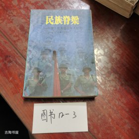 民族脊梁:内蒙古优秀退伍军人纪实