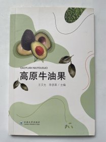 高原牛油果