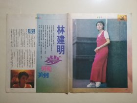 （1650）明星彩页 林建明 16开3张5面