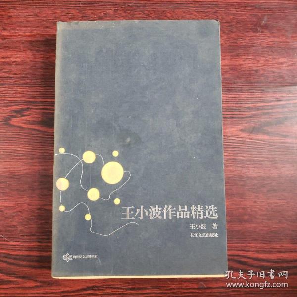 王小波作品精选：跨世纪文丛精华本