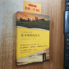 那不勒斯的萤火（被誉为欧美文坛近十年来的“灯塔”巨作，跟《追风筝的人》《阿甘正传》一样震撼灵魂、给人力量。）