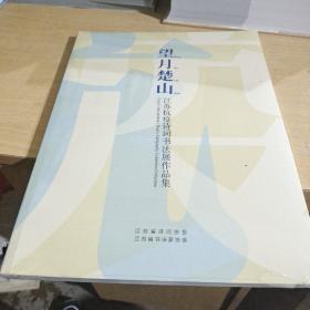 望月楚山：江苏抗疫书法展作品集(全新未拆封)