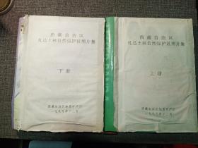 珍贵照片档案：西藏自治区扎达土林自然保护区照片集 上下册  【全网仅见，两厚册，涉及西藏扎达土林的方方面面，如自然景观、寺庙遗址、动植物等，原件，一手资料，每张照片下面都带描述标签】