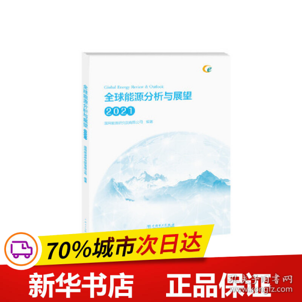 全球能源分析与展望 2021