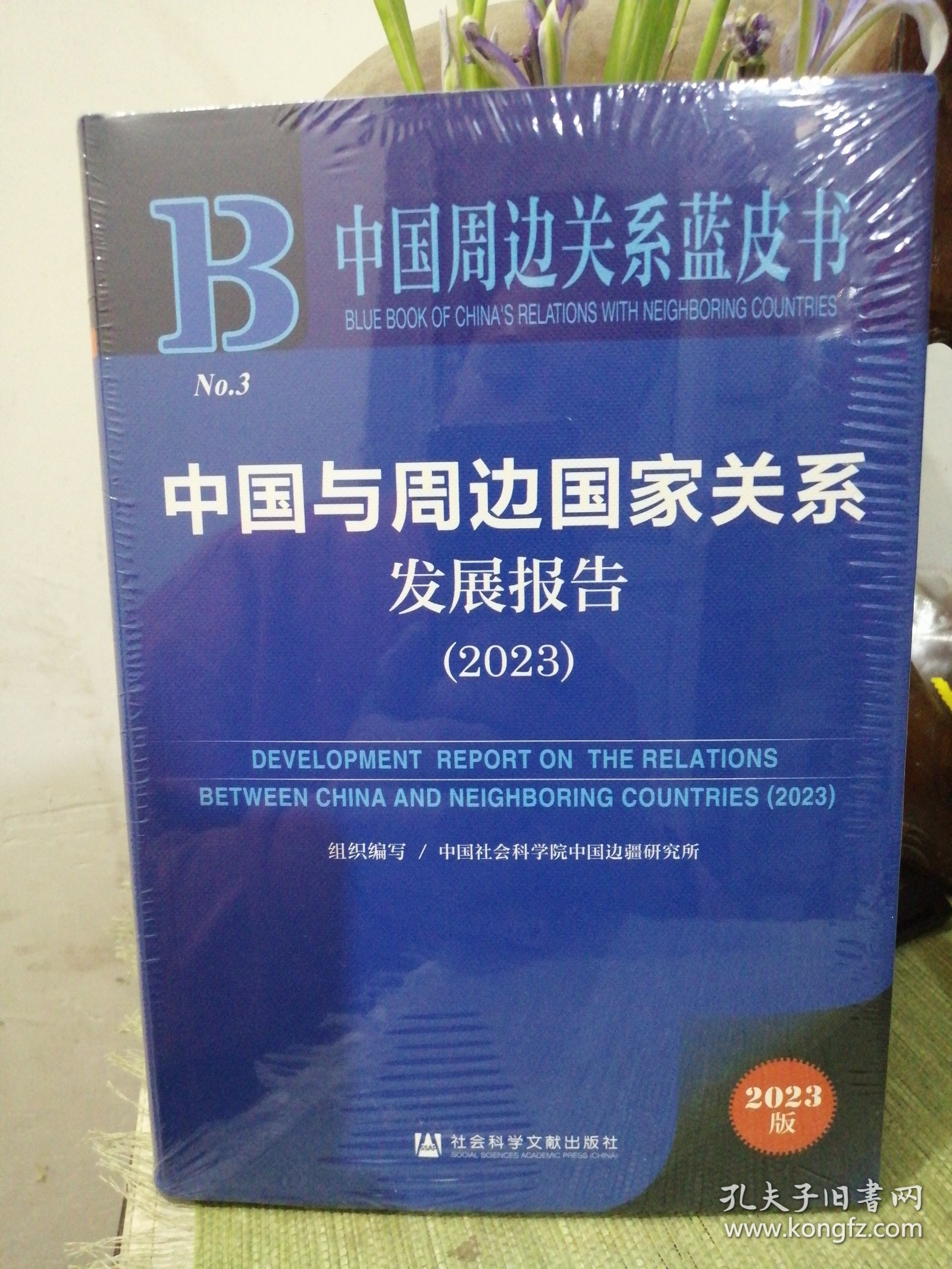 中国与周边国家关系发展报告 2023