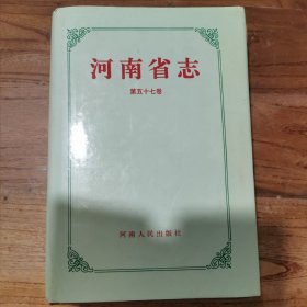 河南省志 ： 文物志