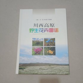 川西高原野生花卉图谱