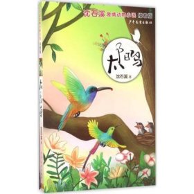 【正版书籍】沈石溪激情动物小说：太阳鸟注音版