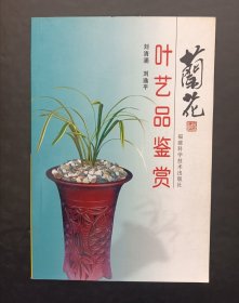 兰花叶艺品鉴赏