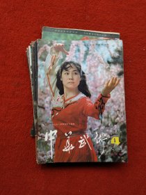 中华武术 杂志 11本