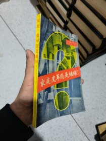 家庭：变革还是继续？