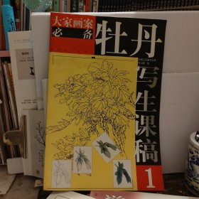 牡丹写生课稿.1