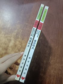 世界大企业家传记（两本合售）