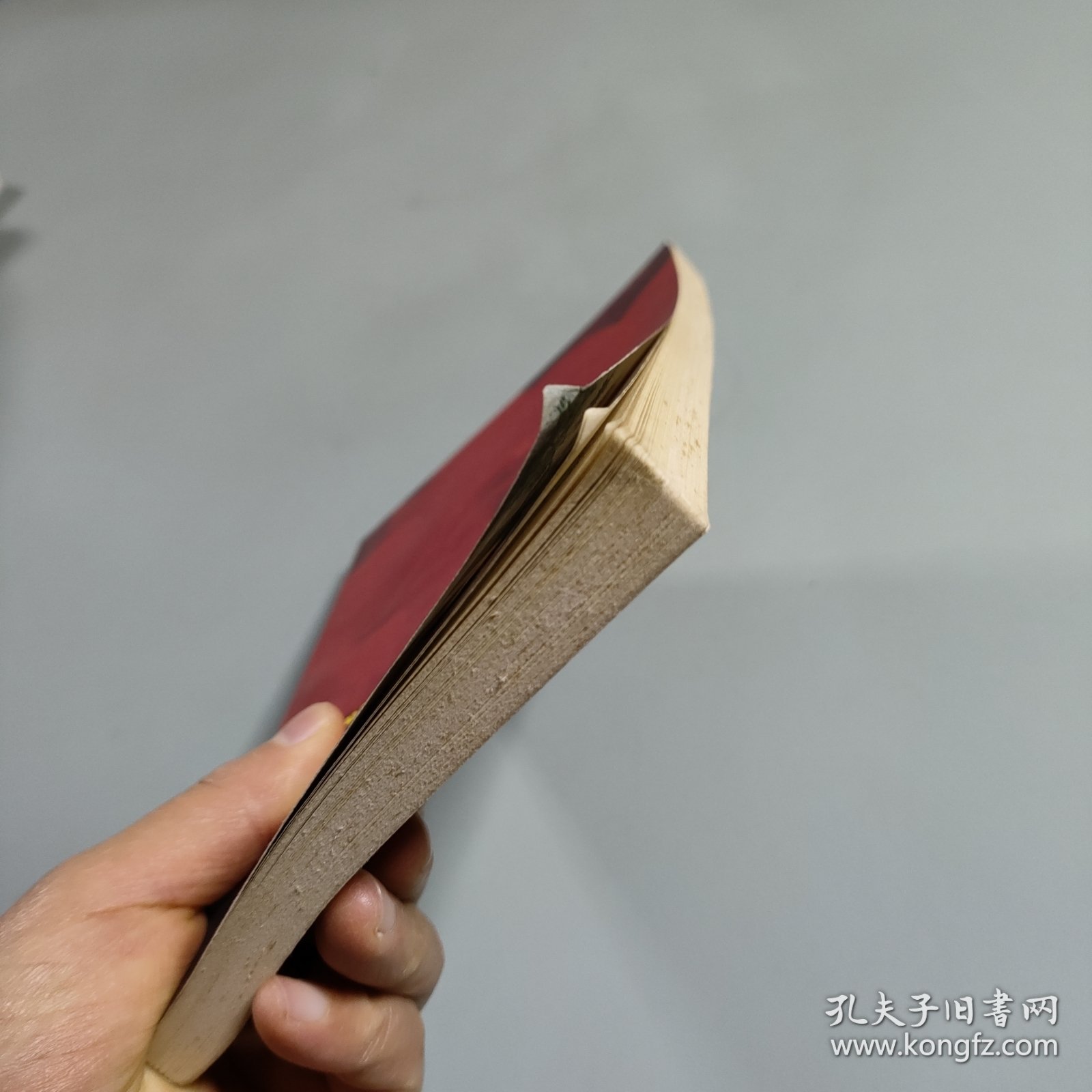 花卉栽培与盆景制作