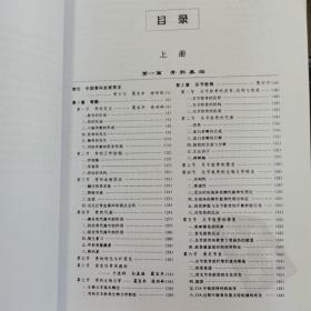 实用骨科学（第4版上下册）