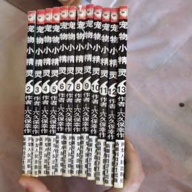 宠物小精灵