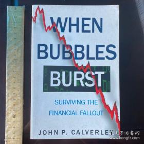 When Bubbles Burst surviving the financial fallout history of financial crises business cycles 英文原版