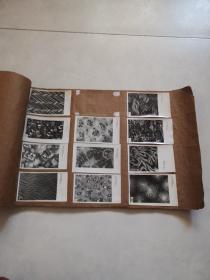 老照片  1981年下半年全国印花布选样定产会（烟台）大会分析花样（80枚合售）
