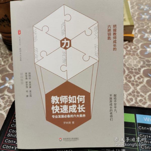 教师如何快速成长：专业发展必备的六大素养 大夏书系