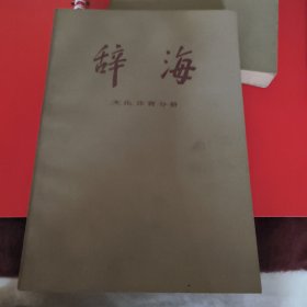 辞海～文化体育分册