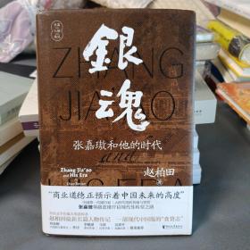银魂：张嘉璈和他的时代