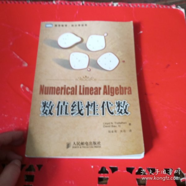 数值线形代数——图灵数学·统计学丛书