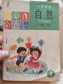 小学课本 自然 一年级 上册