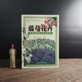 藤蔓花卉