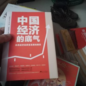 中国经济的底气：未来经济高质量发展的路径（顶级经济学家+一流专业解读）