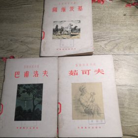 苏联画家介绍：萨维茨基 巴甫洛夫 茹可夫（3册合售）