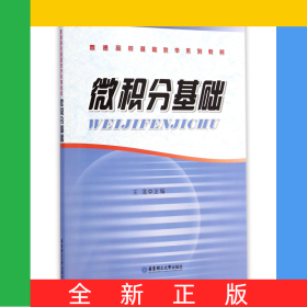 微積分基礎(chǔ)(普通高?；A(chǔ)數(shù)學(xué)系列教材)